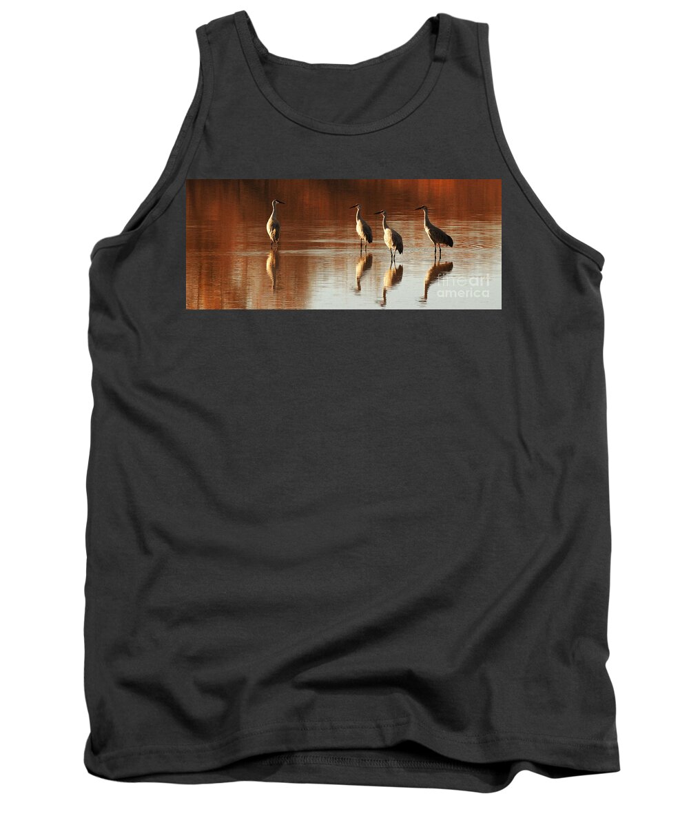 Water Tank Top featuring the photograph Are You Guys Ready to Fly Yet by Vivian Christopher