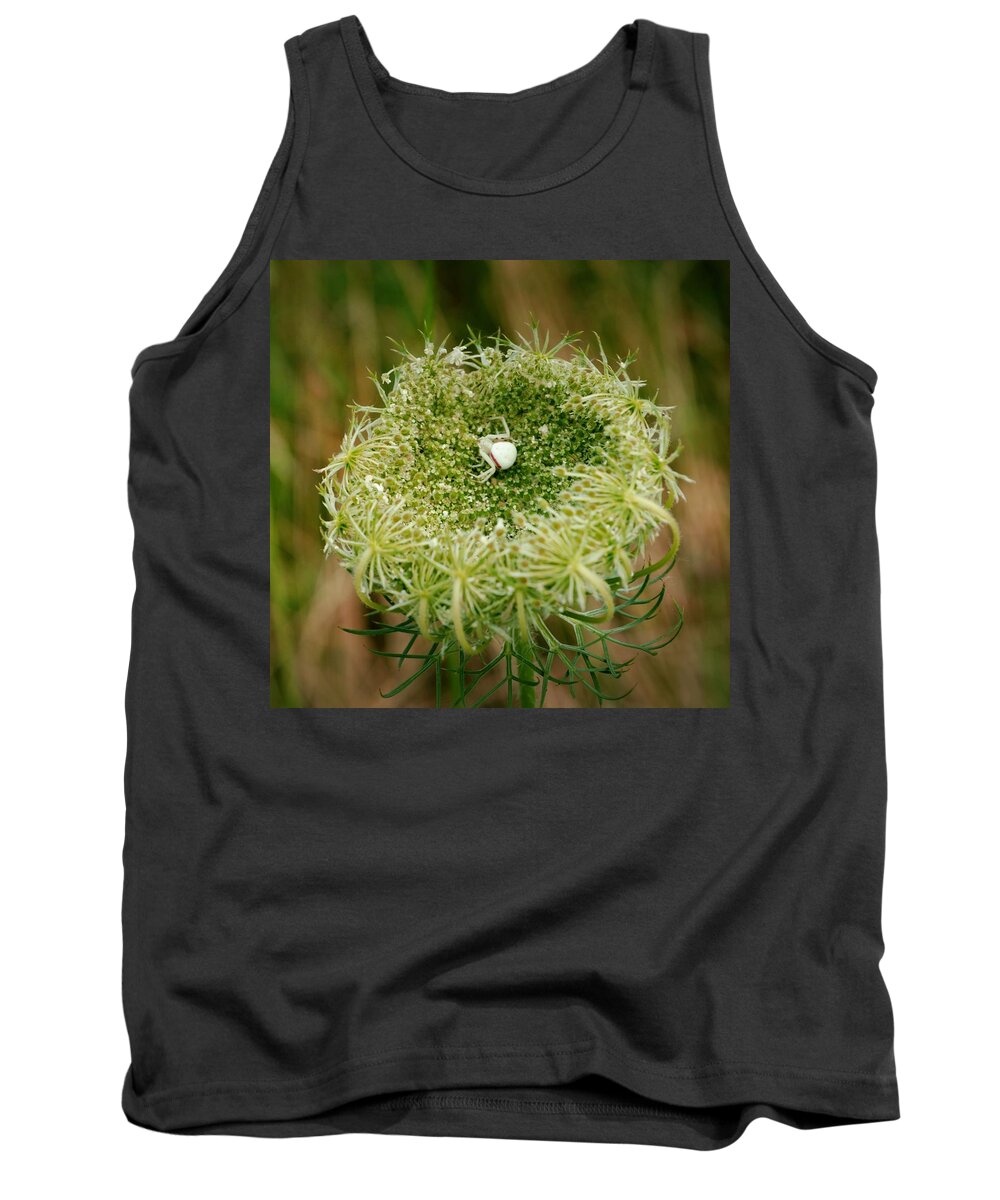 White Spider Tank Top featuring the photograph Arrogant Stalker by Laureen Murtha Menzl