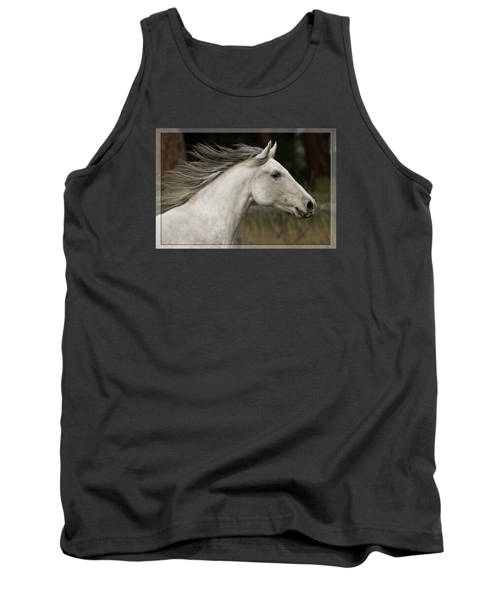 At A Full Gallop Tank Top featuring the photograph At A Full Gallop by Wes and Dotty Weber