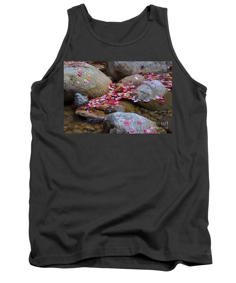 Autumn Tank Top featuring the photograph Autmun Leaves by John Greco