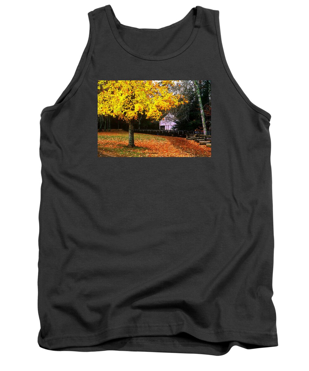 Smoky Mountains Tank Top featuring the photograph Autumn At Old Mill by Rodney Lee Williams