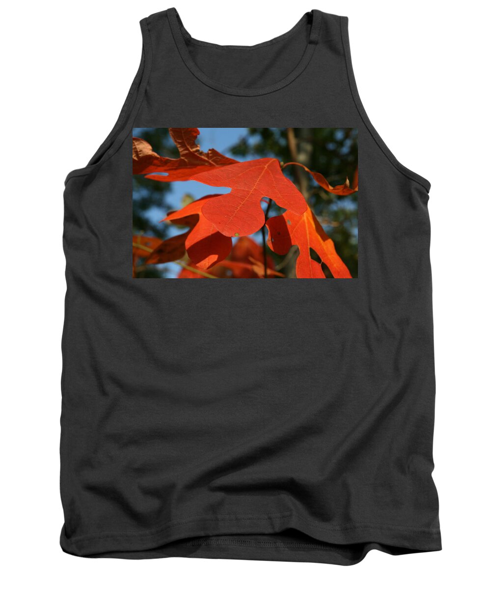 Leaf Tank Top featuring the photograph Autumn Attention by Neal Eslinger