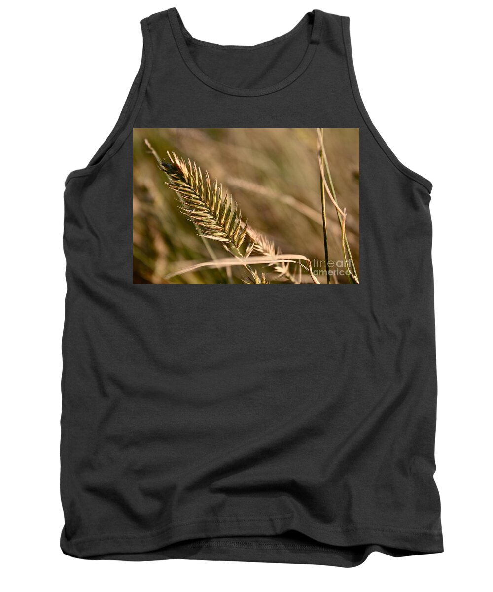 Grass Tank Top featuring the photograph Autumn Grasses by Linda Bianic