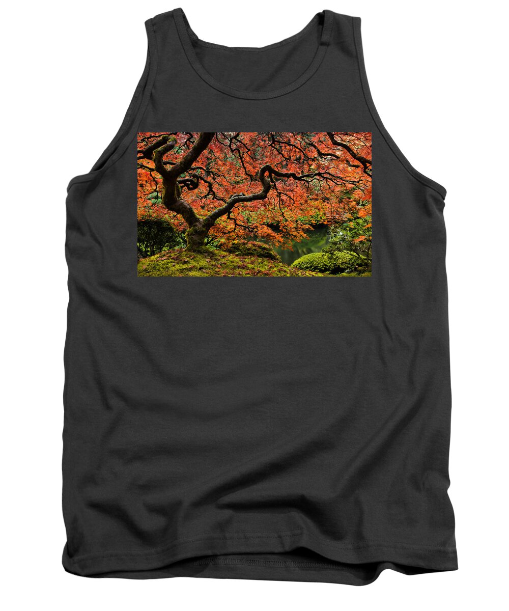 Asian Tank Top featuring the photograph Autumn Magnificence by Don Schwartz