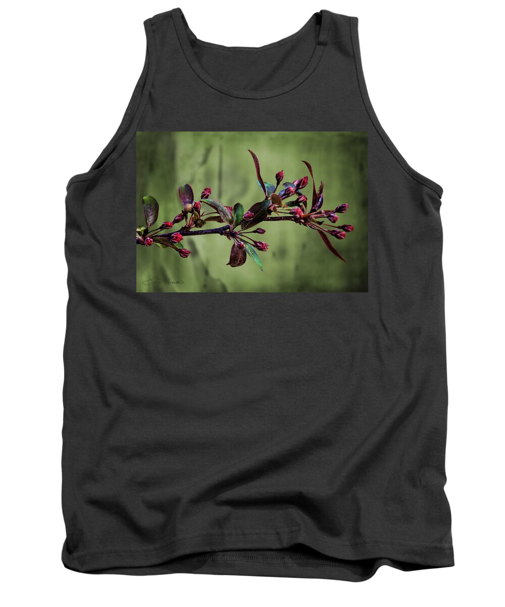 Tree Buds Tank Top featuring the photograph Baby Buds by Sylvia Thornton
