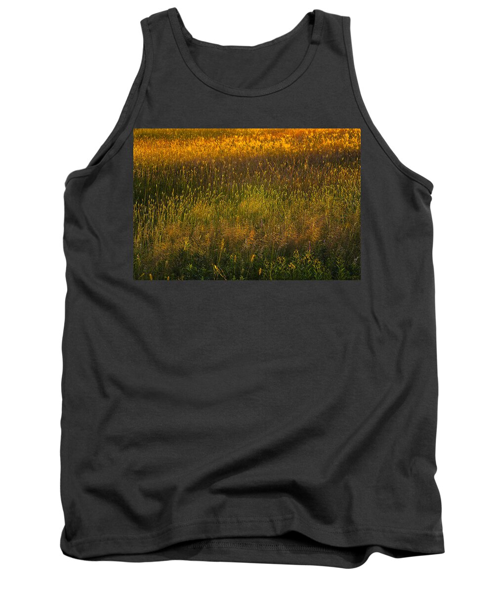 Backlit Meadow Grasses Tank Top featuring the photograph Backlit Meadow Grasses by Marty Saccone