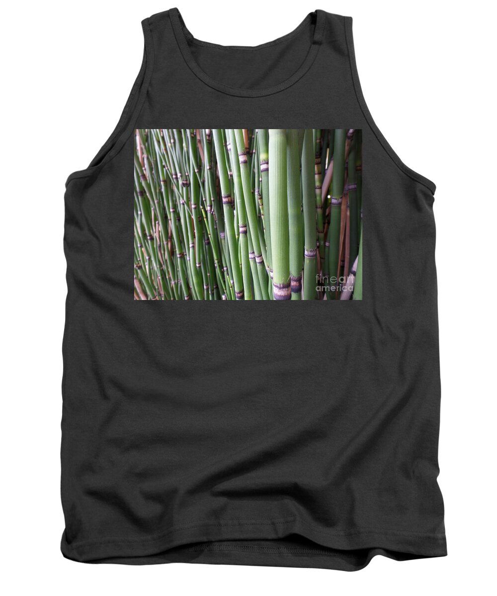 Bamboo Tank Top featuring the photograph Bamboo by HEVi FineArt