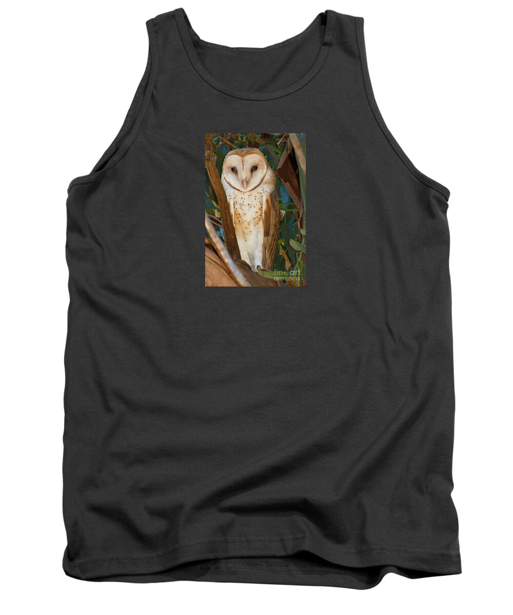 Bird Tank Top featuring the photograph Barn Owl by Alice Cahill