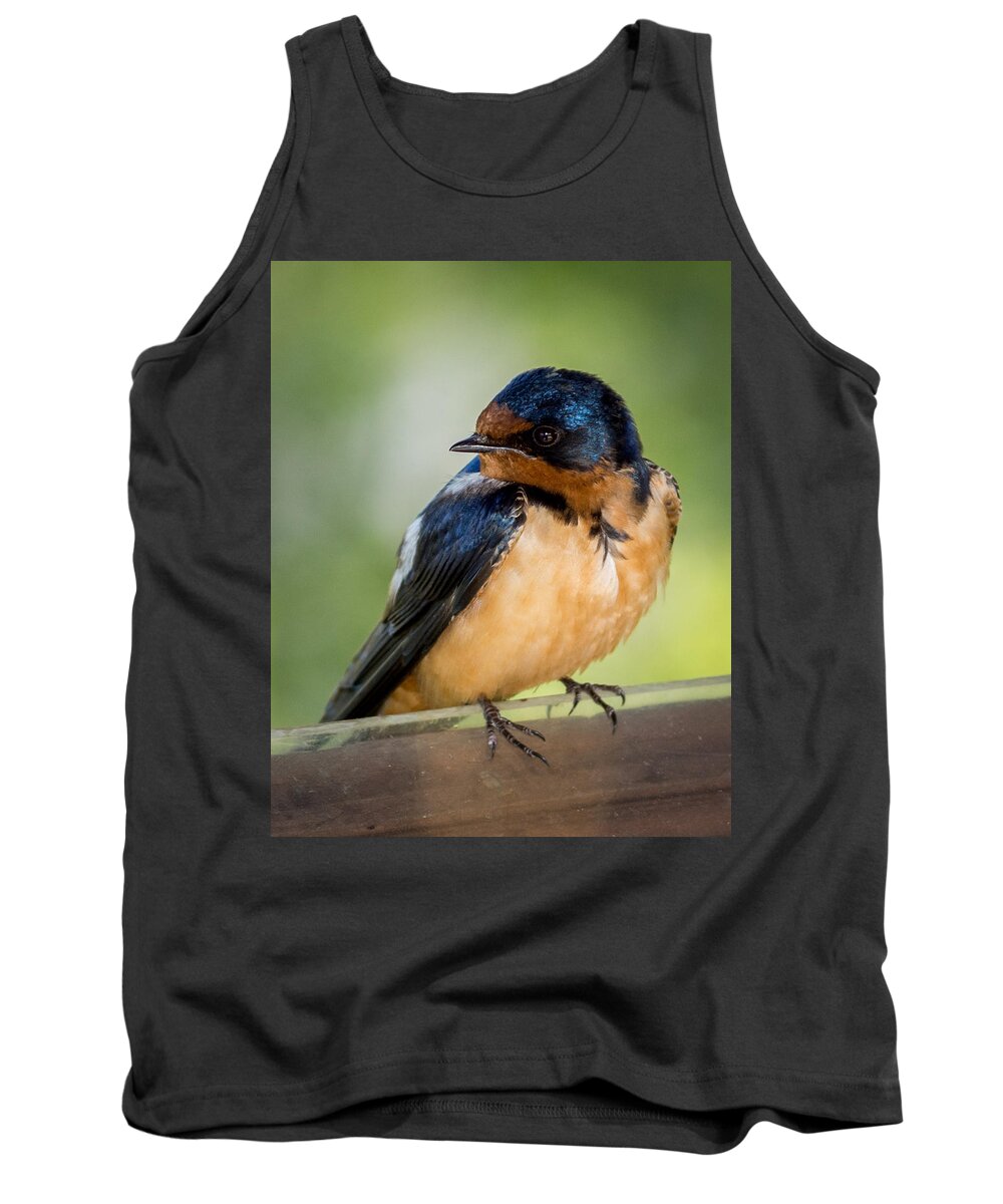 Barn Swallows Tank Top featuring the photograph Barn Swallow by Ernest Echols
