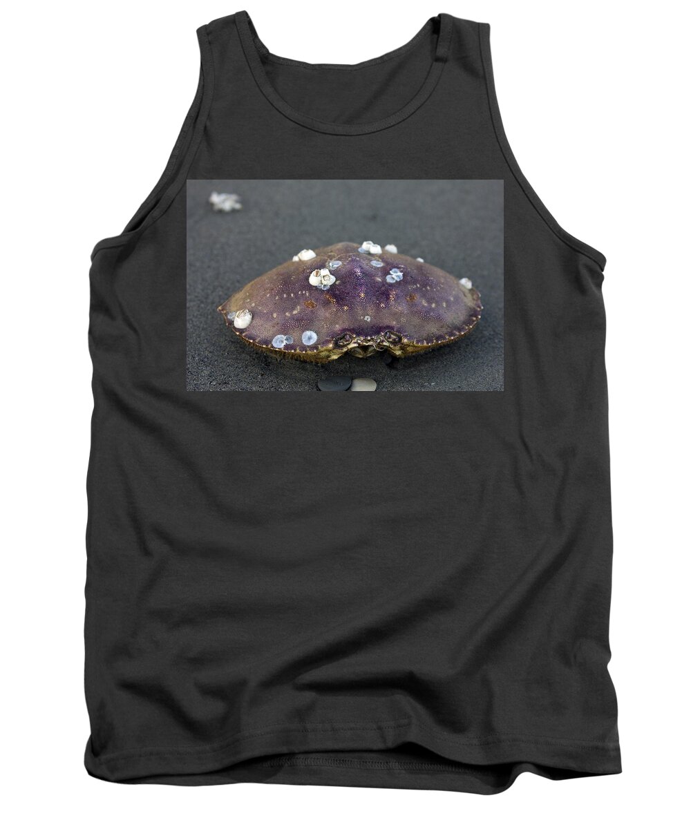 Crab Tank Top featuring the photograph Barnacled Crab Shell by Josh Bryant