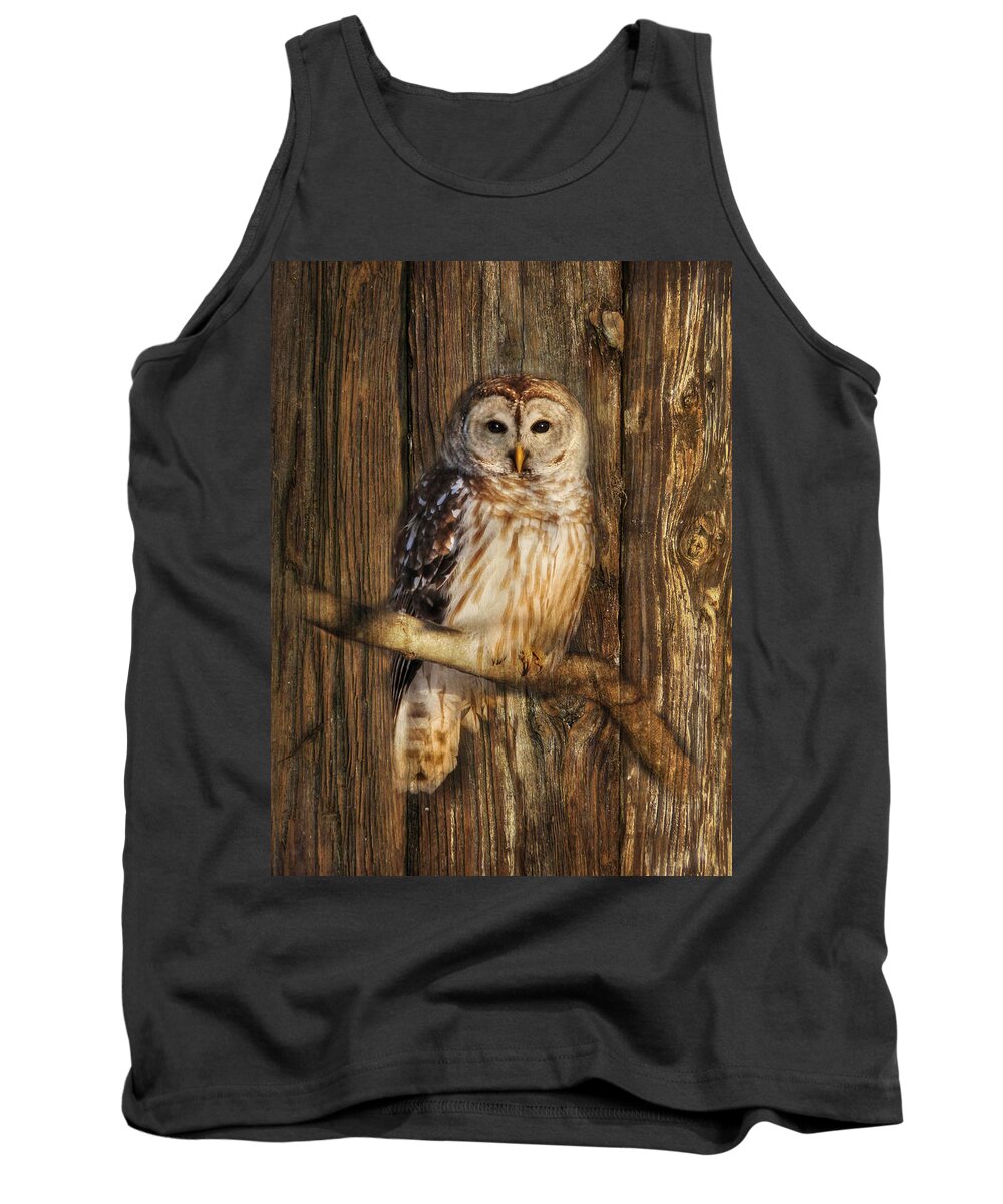 Barred Owl Tank Top featuring the photograph Barred Owl 1 by Lori Deiter