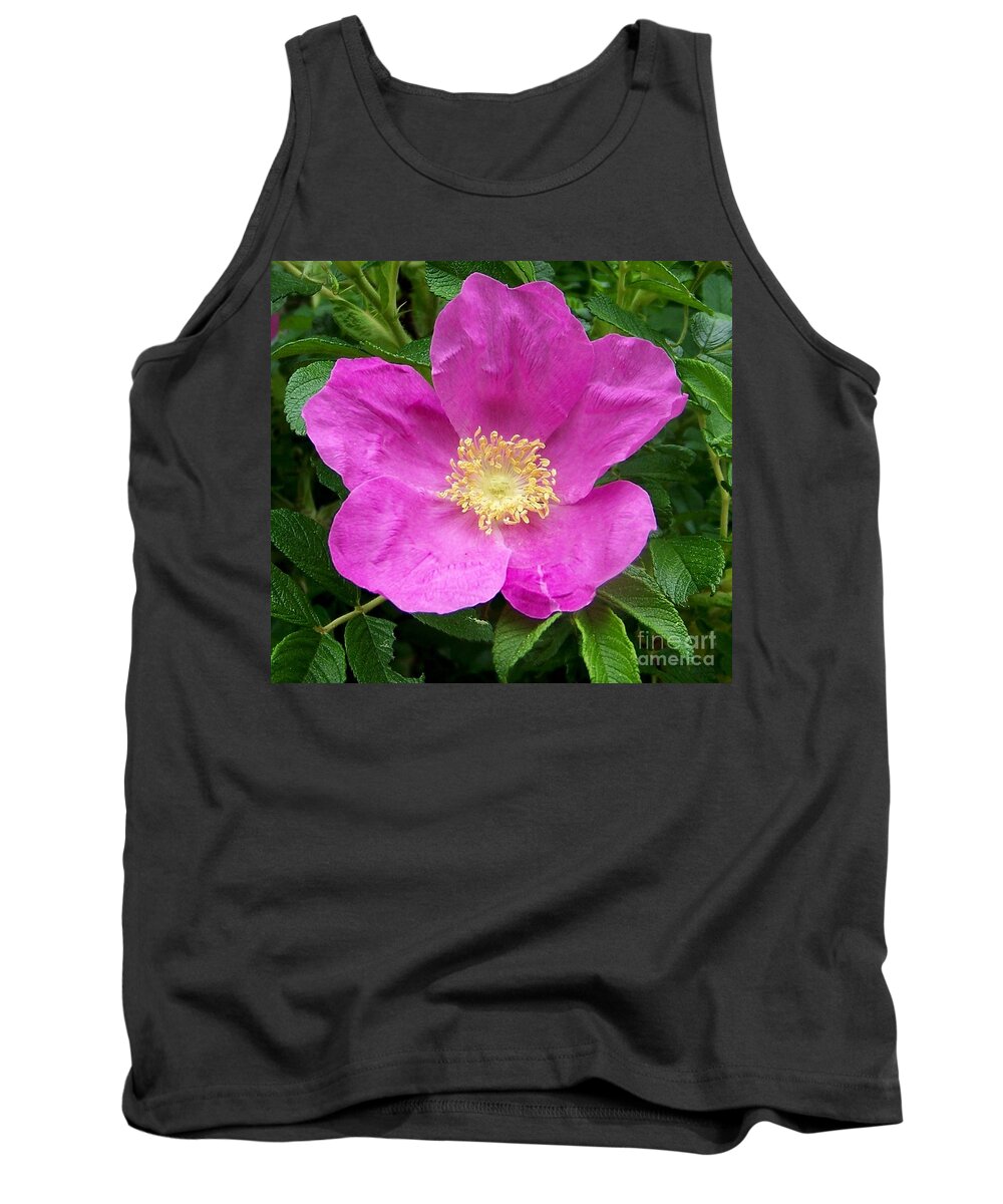 Green Tank Top featuring the photograph Pink Beach Rose Fully In Bloom by Eunice Miller
