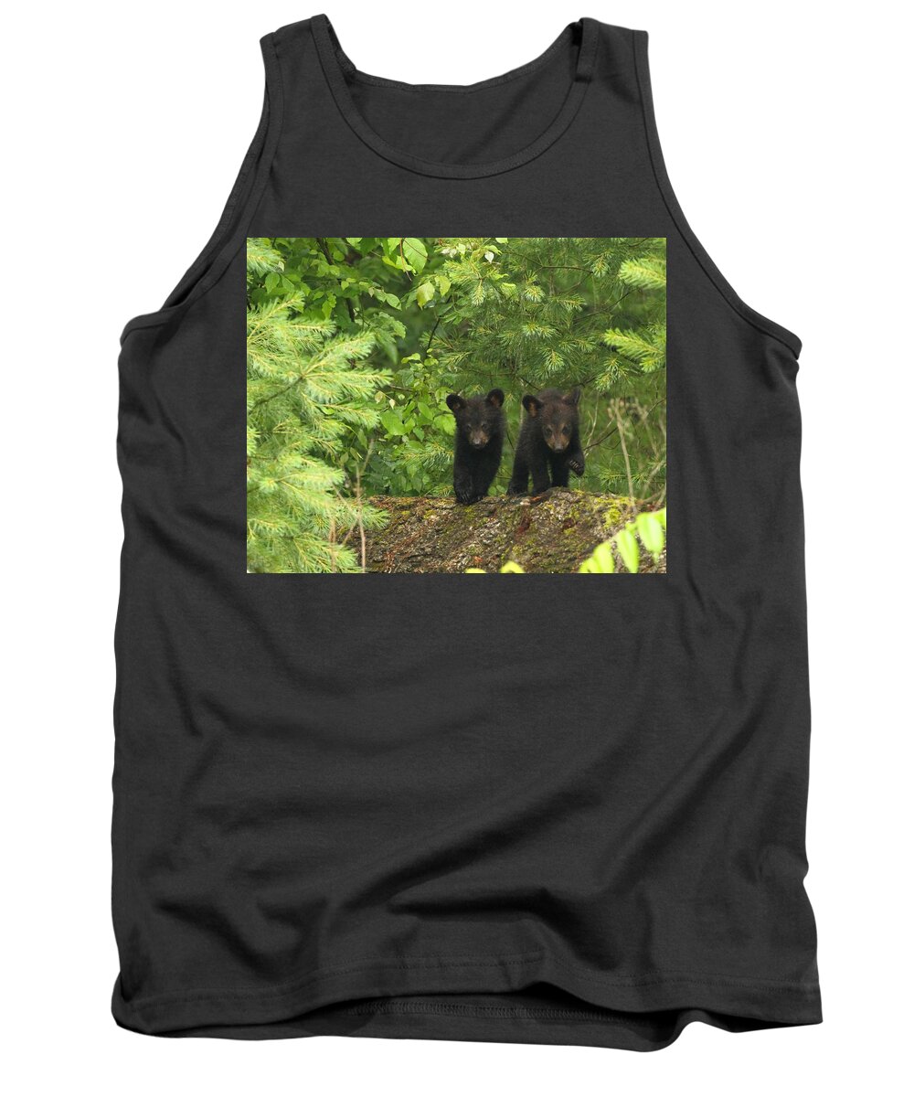 Black Bears Tank Top featuring the photograph Bear Buddies by Coby Cooper