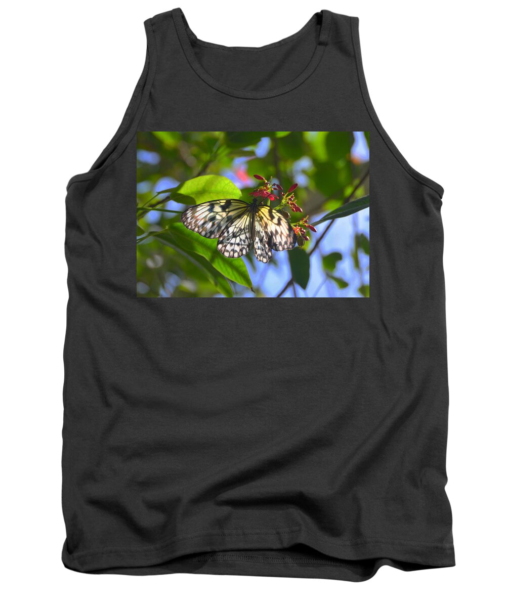 Butterfly Tank Top featuring the photograph Beautiful Backlit Paper Kite Butterfly by Carla Parris