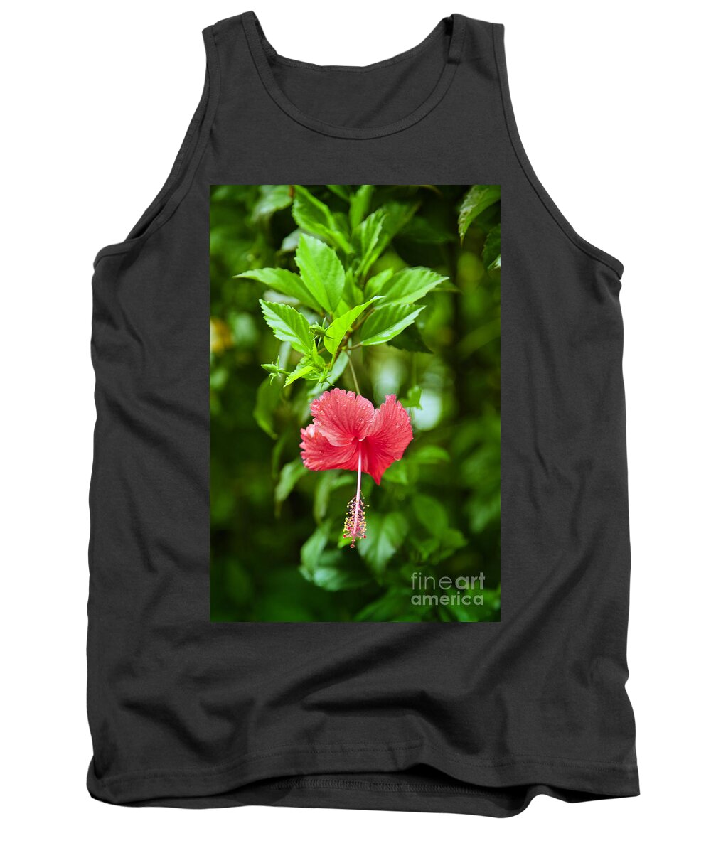 Exotic Tank Top featuring the photograph Beautiful Blossom by Gina Koch