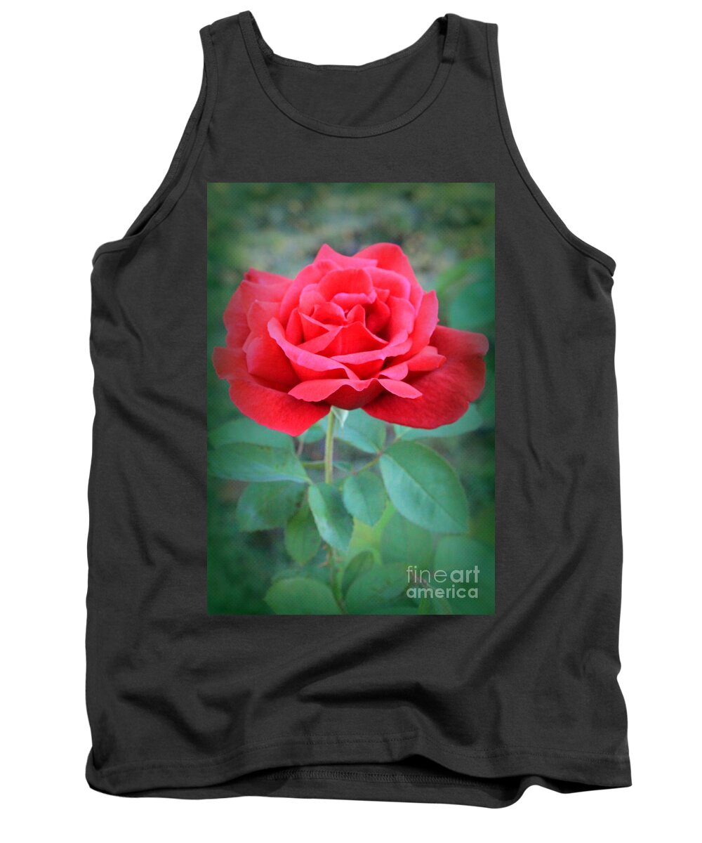 Rose Tank Top featuring the photograph Beautiful Morning Rose by Jennifer E Doll