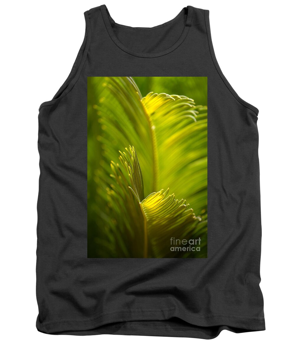 Sago Palm Tank Top featuring the photograph Beauty in the Sunlight by Deb Halloran