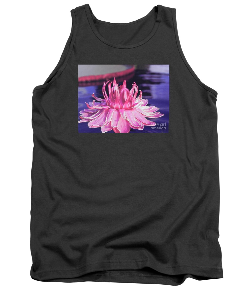 Photography Tank Top featuring the photograph Beauty of Pink at the NY Botanical Gardens by Chrisann Ellis