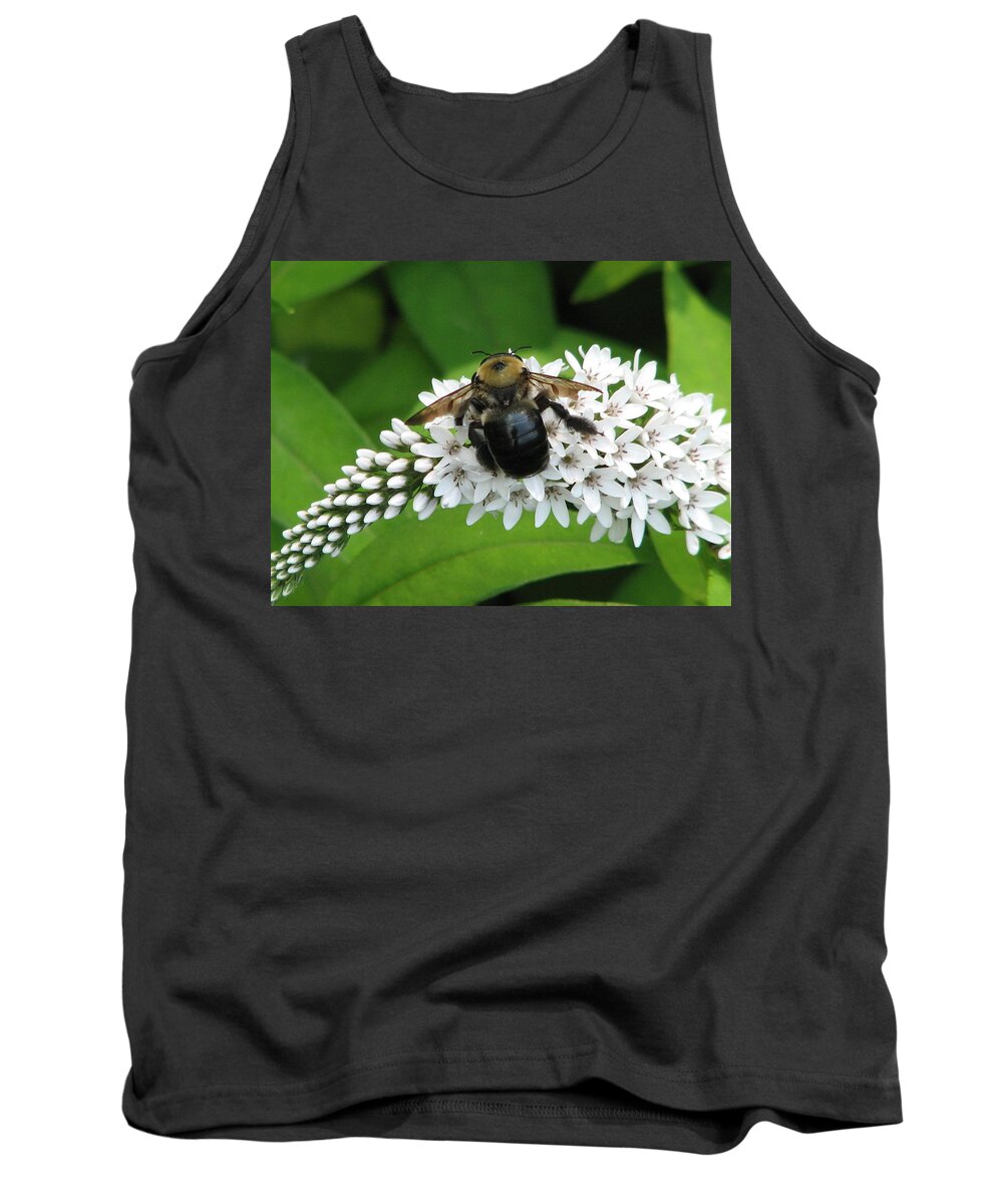 Bee Tank Top featuring the photograph Bee Back by Cleaster Cotton