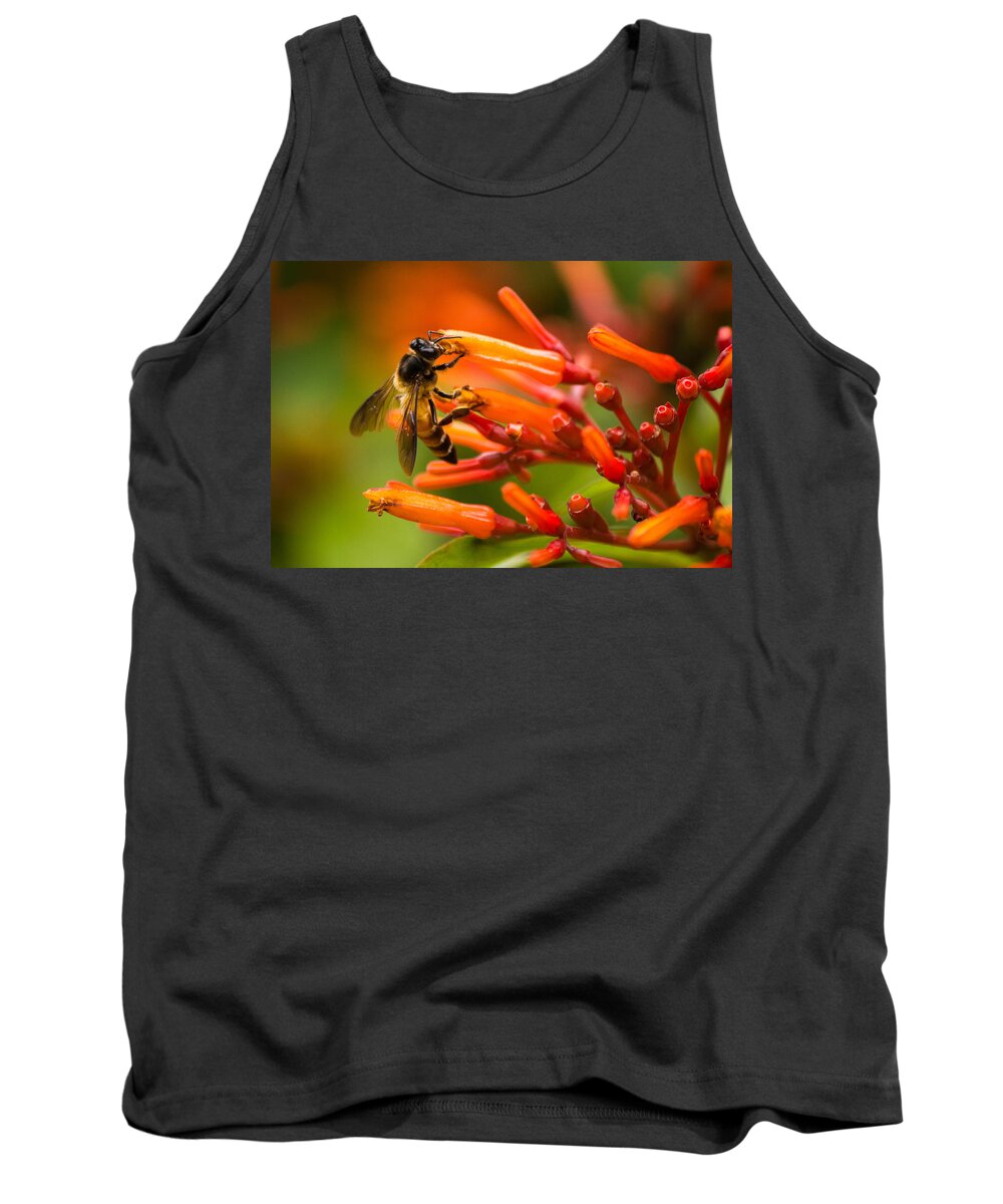 Anthophila Tank Top featuring the photograph Bee on firebush flower by SAURAVphoto Online Store