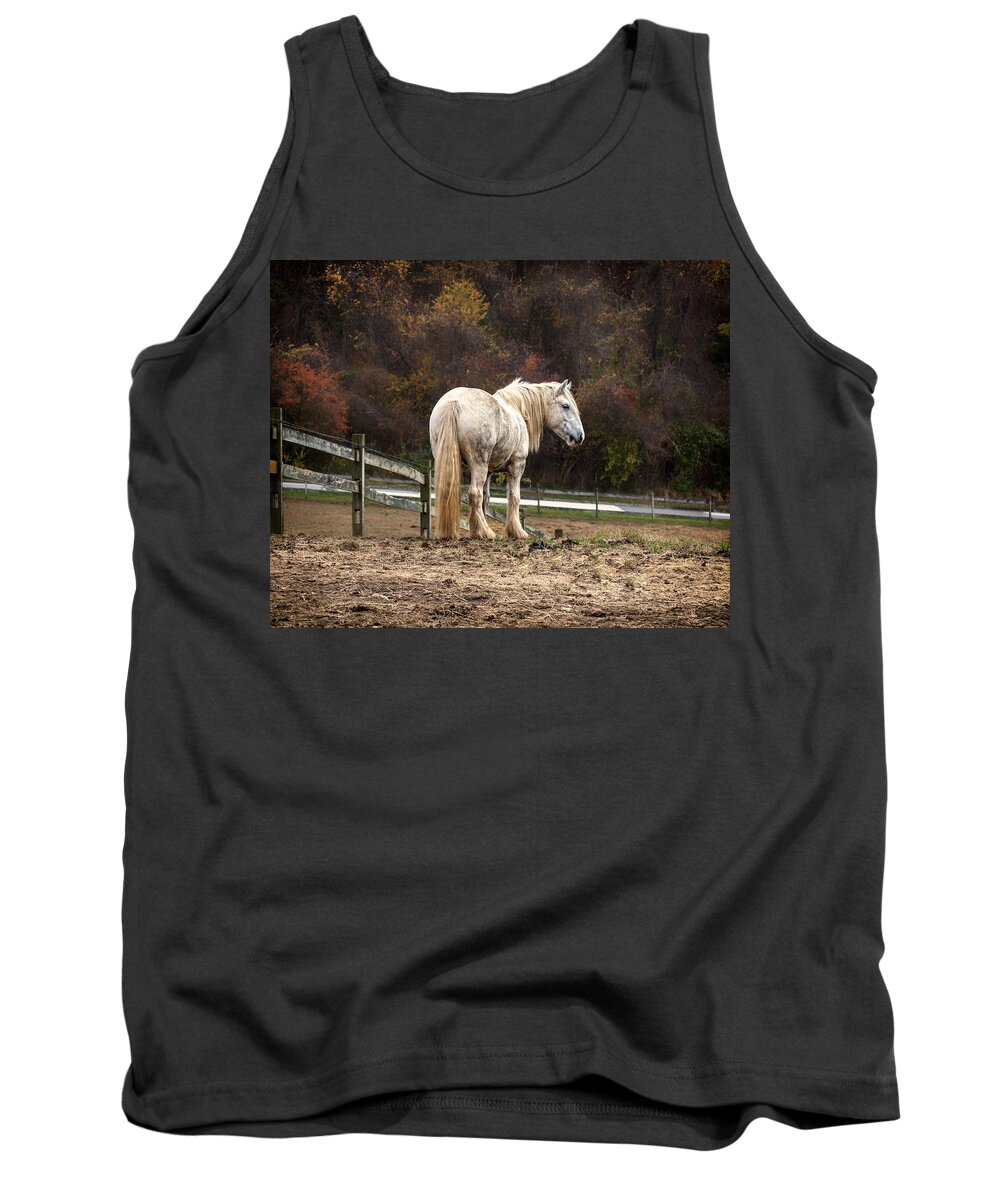 Horse Tank Top featuring the photograph Big man color by Rob Dietrich