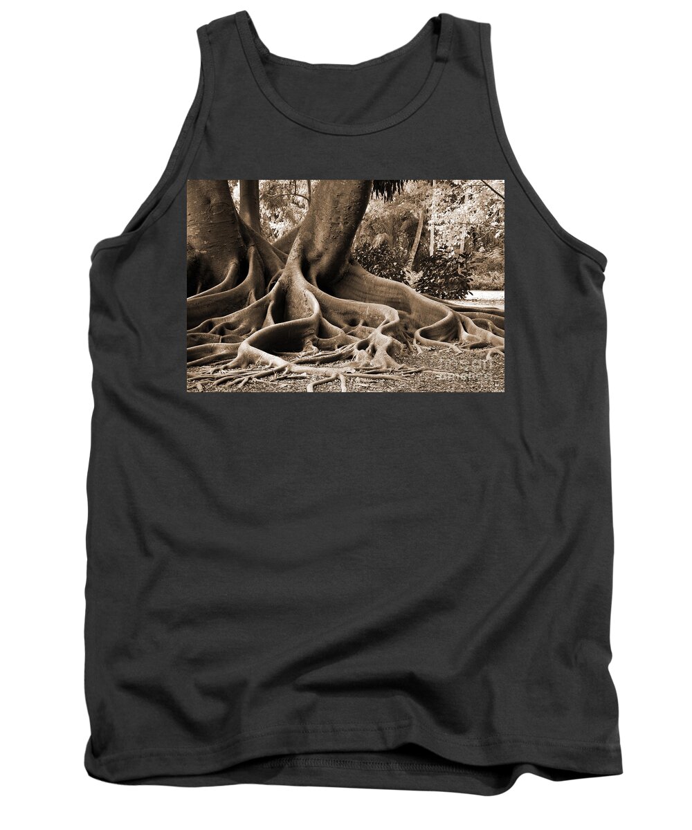 Ficus Tank Top featuring the photograph Big Sepia Roots by Judy Wolinsky