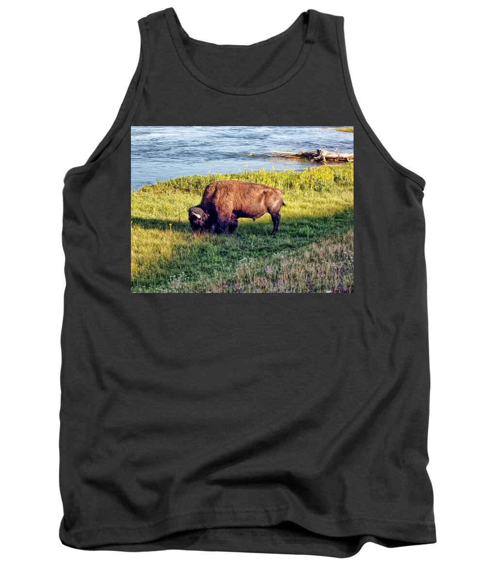 Bison Tank Top featuring the photograph Bison 4 by Dawn Eshelman