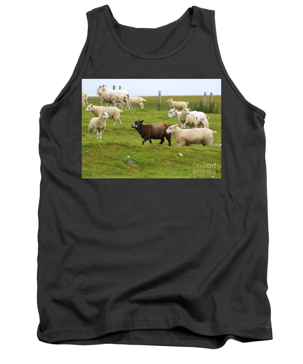 Sheep Tank Top featuring the photograph Black Sheep by Nancy L Marshall
