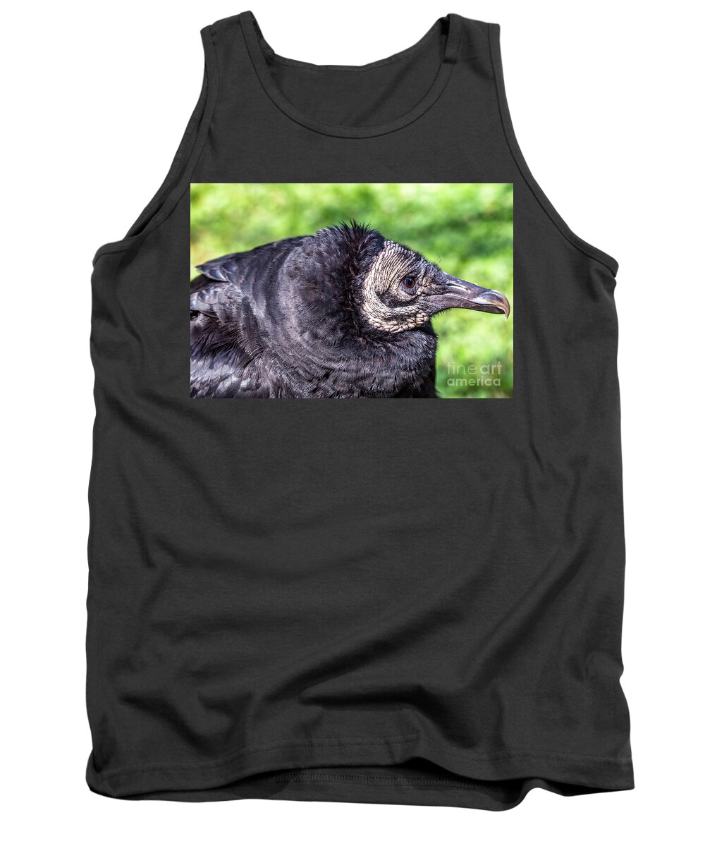 Coragyps-atratuscolor Tank Top featuring the photograph Black Vulture waiting for prey by Bernd Laeschke