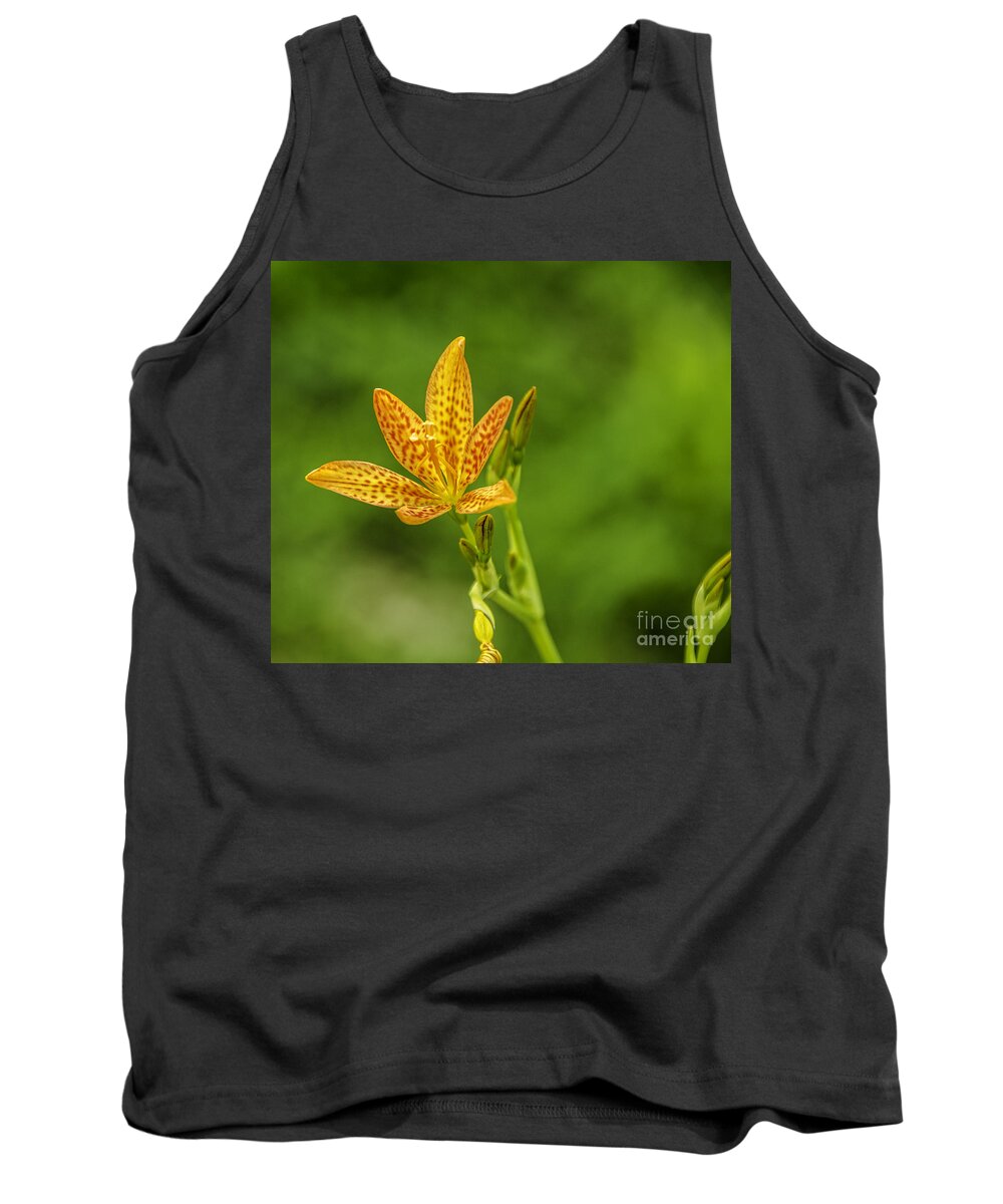 M.c. Story Tank Top featuring the photograph Blackberry Lily 1 by Mary Carol Story