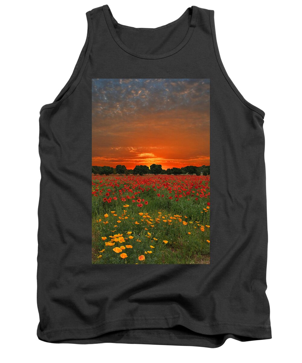 Poppy Tank Top featuring the photograph Blaze of Glory by Lynn Bauer