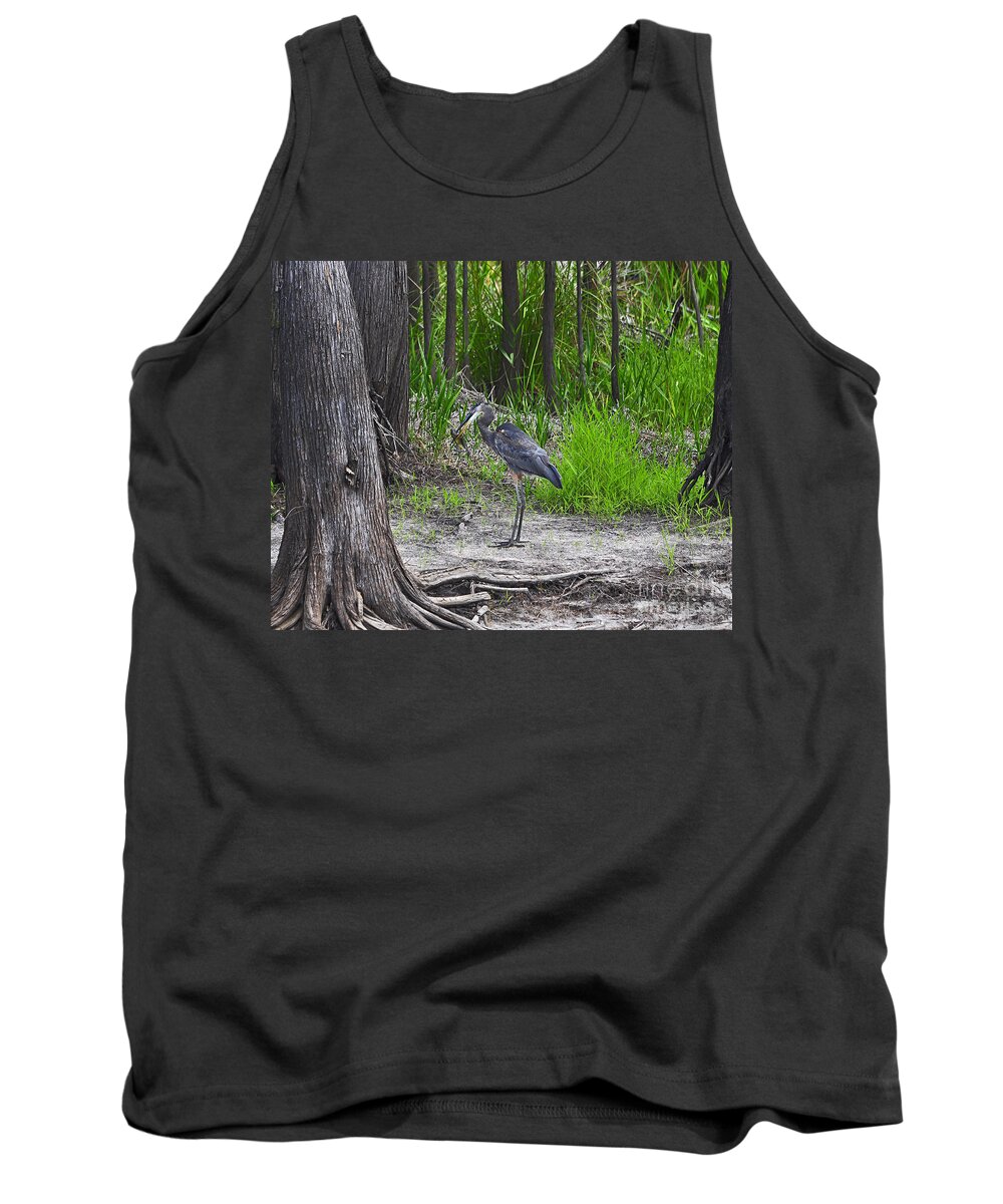 Heron Tank Top featuring the photograph Blue Bags Bream by Al Powell Photography USA
