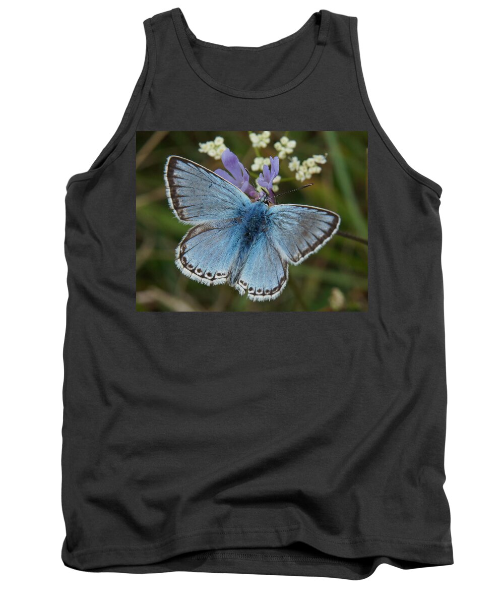 Butterflay Tank Top featuring the digital art Blue butterfly by Ron Harpham