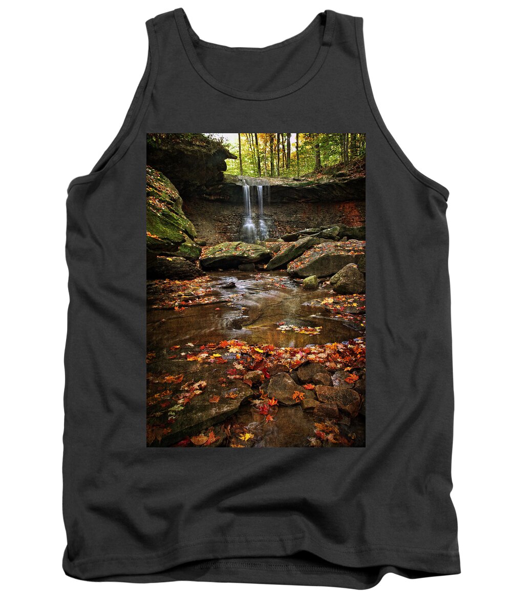 Water Tank Top featuring the photograph Blue Hen Falls In Autumn by Dale Kincaid