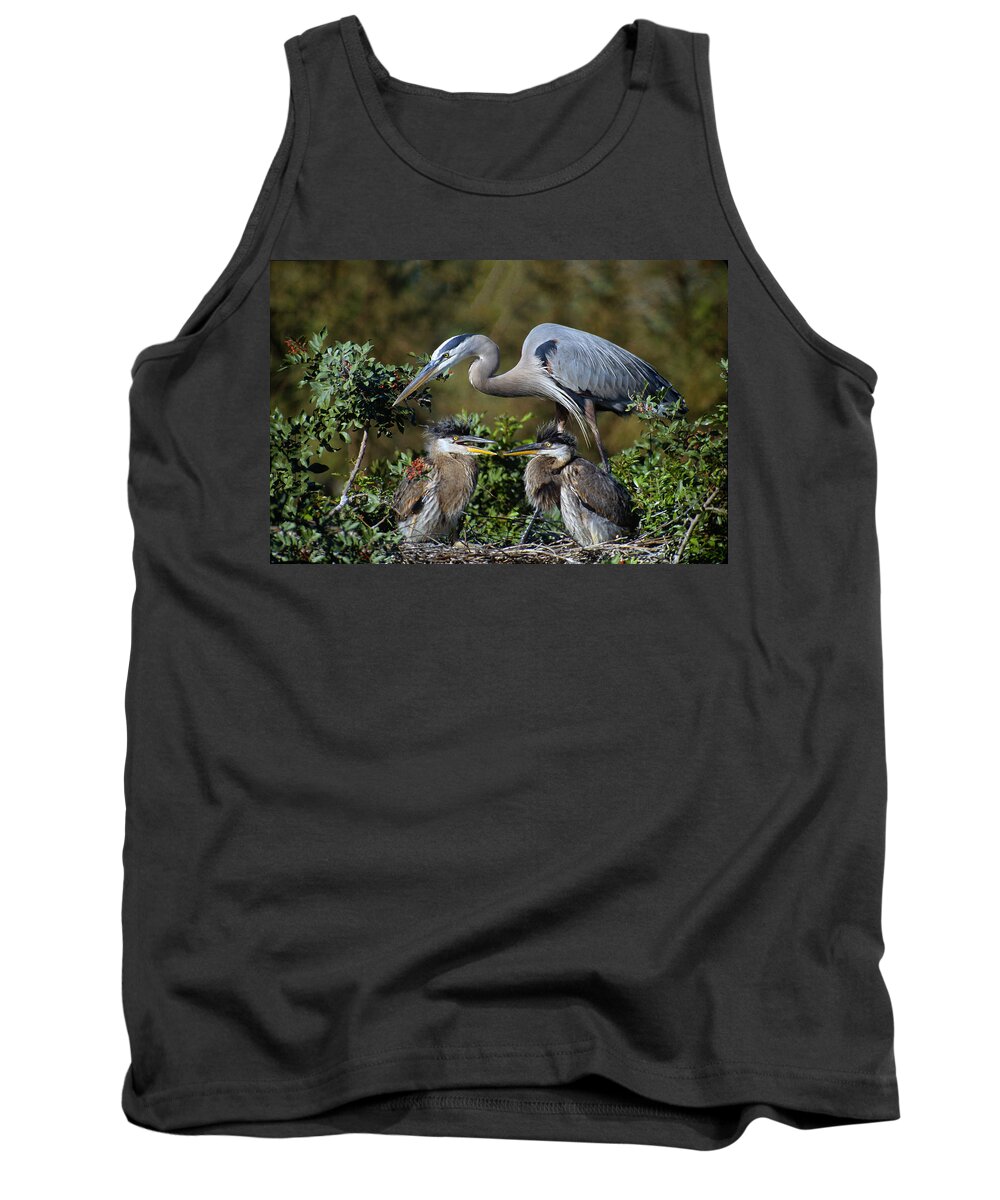 Venice Rookery Tank Top featuring the photograph Blue Heron Family by Ram Vasudev