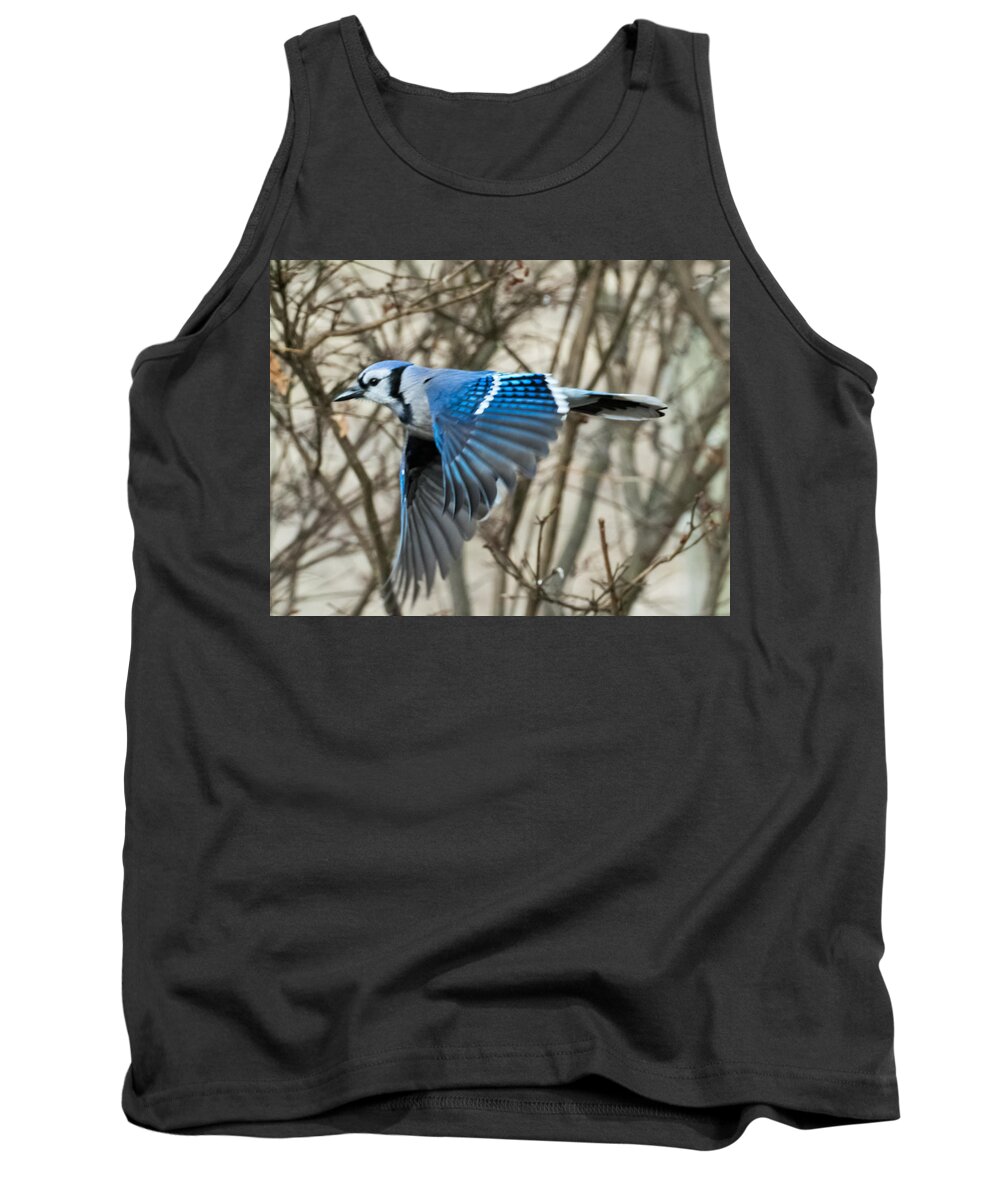 Blue Jay Tank Top featuring the photograph Blue Jay by Holden The Moment
