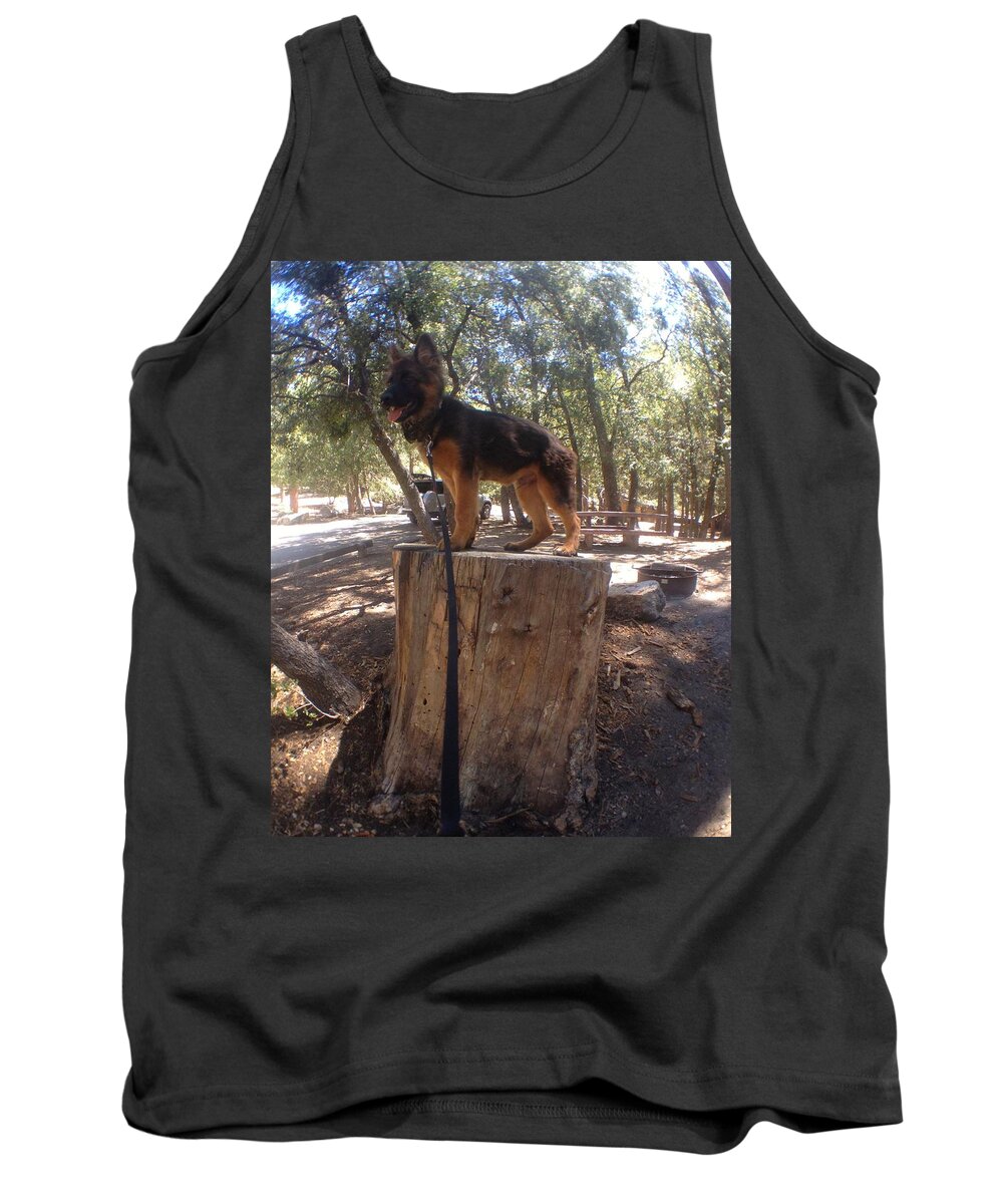 Bodhi Camping Tank Top featuring the photograph Bodhi's Post by Christine Owens