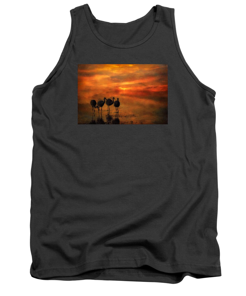 Bosque Sunset Tank Top featuring the photograph Bosque Sunset by Priscilla Burgers