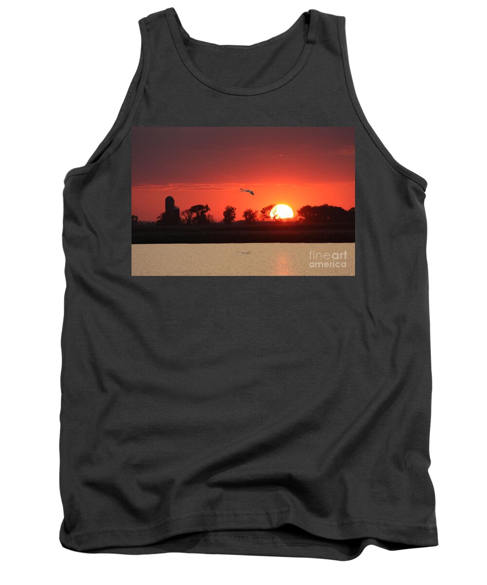 Water Tank Top featuring the photograph Botkers sunset by Lori Tordsen