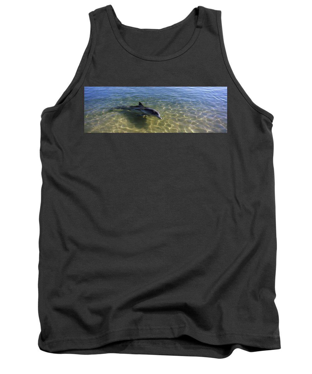 Photography Tank Top featuring the photograph Bottle-nosed Dolphin Tursiops Truncatus by Animal Images