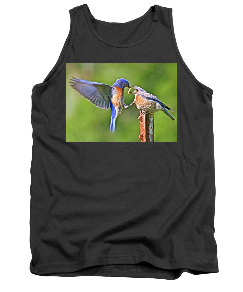 - Animals Tank Top featuring the photograph Breast feeding. by Jean Noren