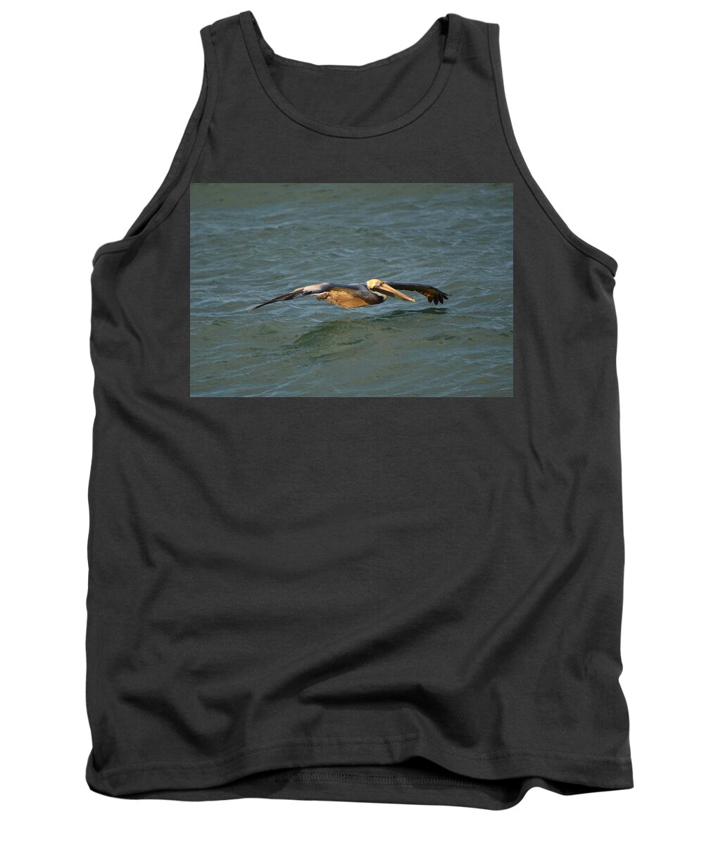 Brown Pelican Tank Top featuring the photograph Brown Pelican by James Petersen