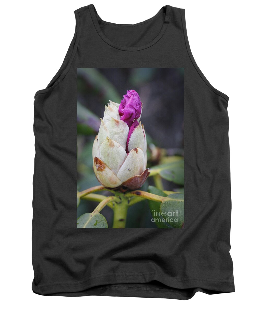 Rhododendron Tank Top featuring the photograph Budding Rhododendron by Jonathan Welch