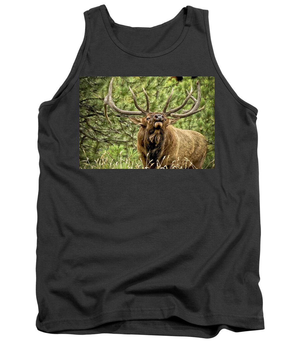 Bull Elk Tank Top featuring the photograph Bugling Bull Elk II by Ron White