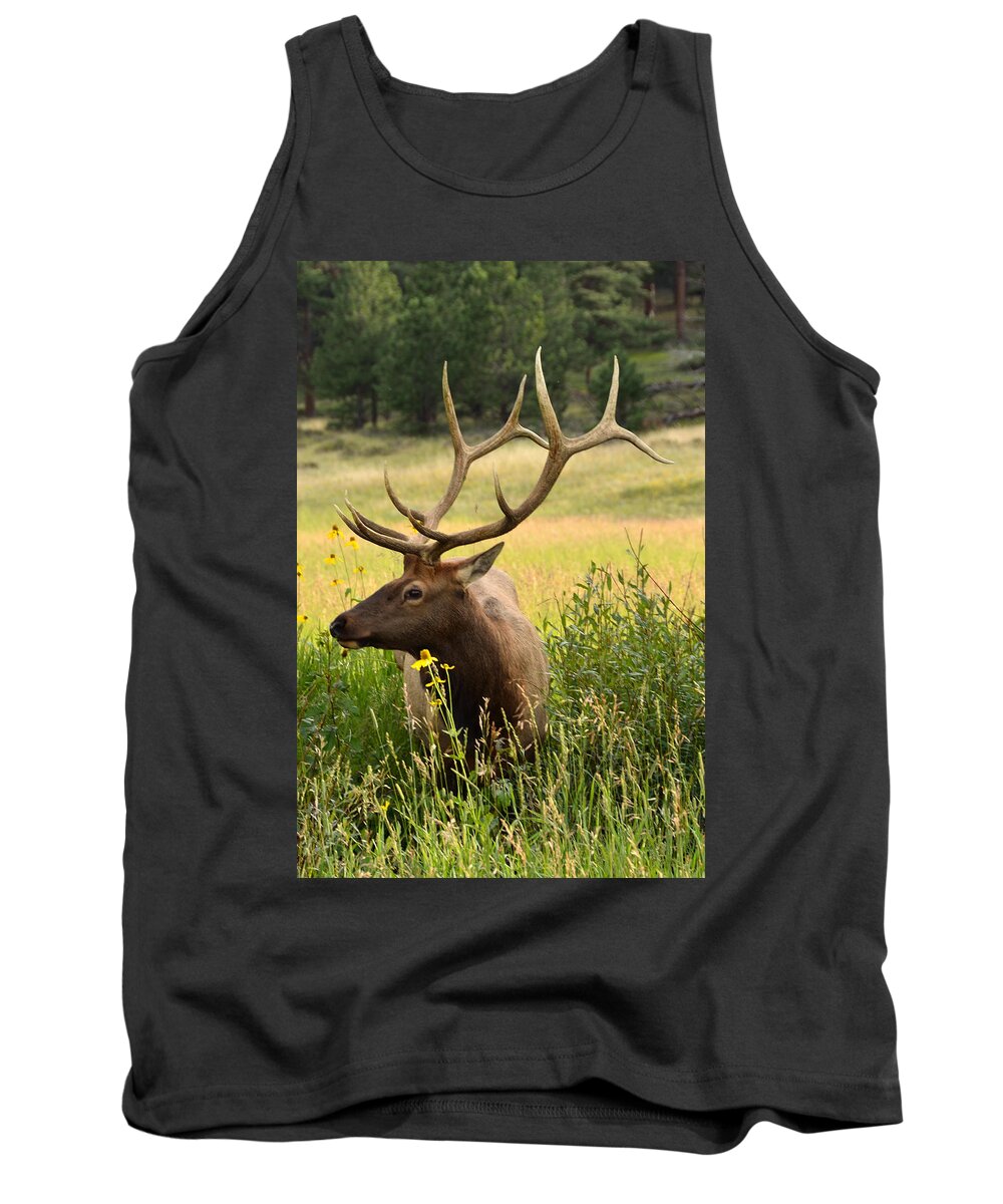 Wapiti Tank Top featuring the photograph Bull Elk in Wildflowers-V by Tranquil Light Photography