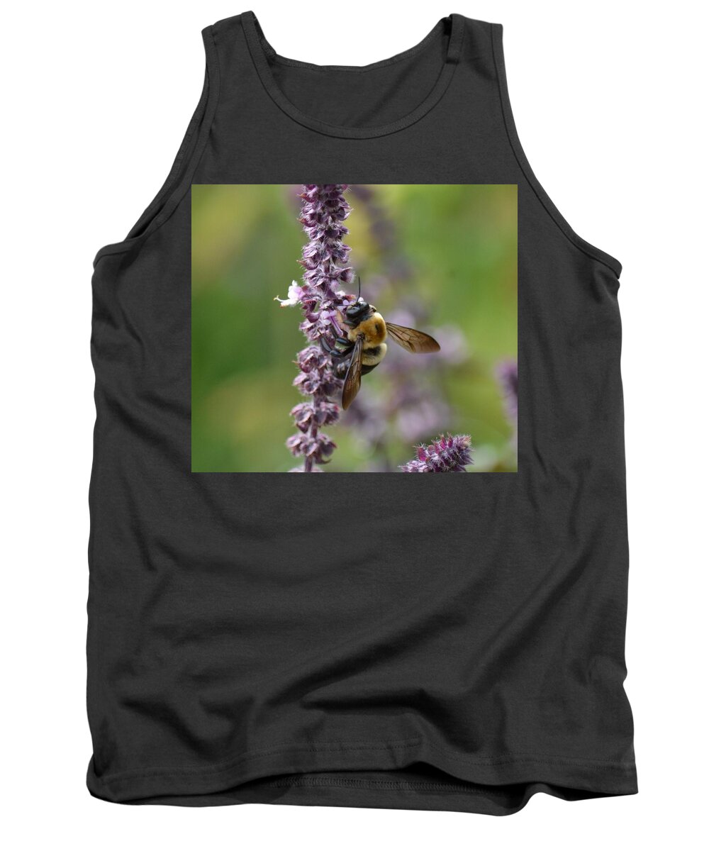 Bumble On Sage Tank Top featuring the photograph Bumble on Sage by Maria Urso
