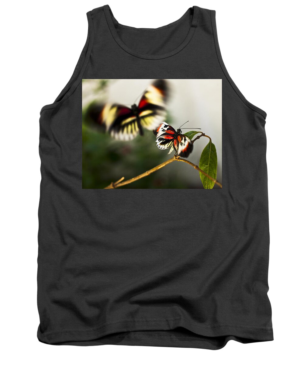 Butterfly Tank Top featuring the photograph Butterfly In Flight by Bradley R Youngberg