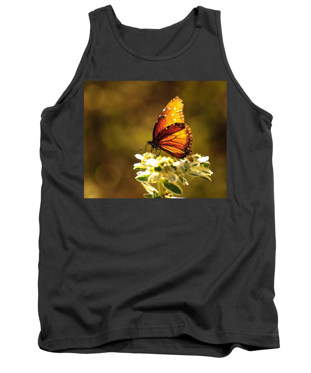 Butterfly Tank Top featuring the photograph Butterfly in sun by John Johnson