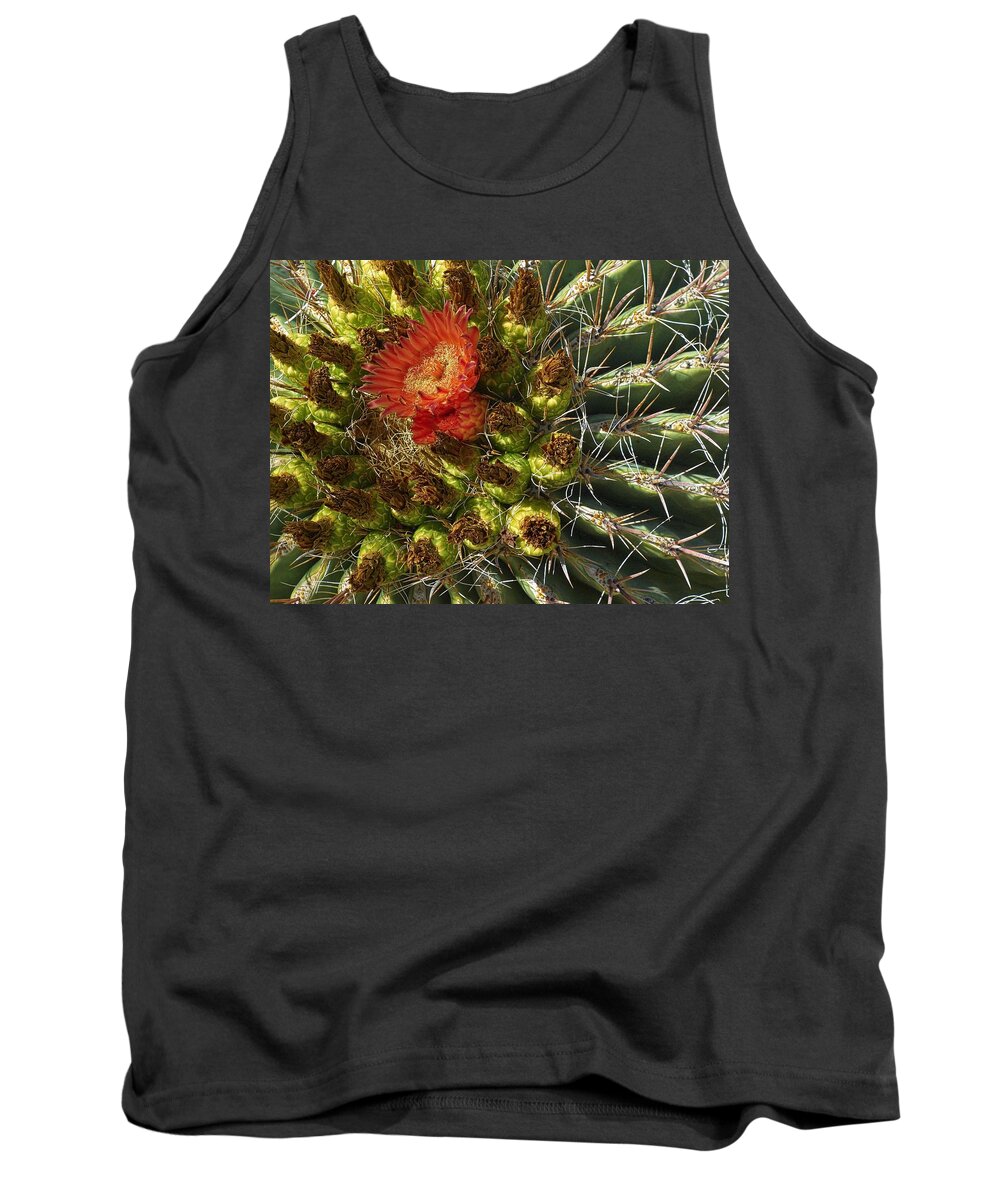 Cactus Tank Top featuring the photograph Cactus Flower by Steve Ondrus