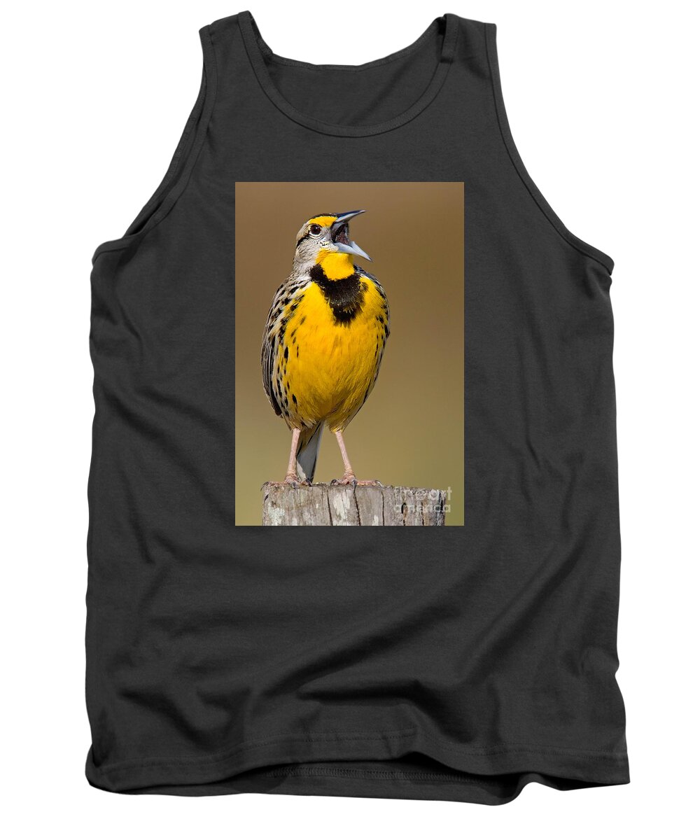 Eastern Meadowlark Tank Top featuring the photograph Calling Eastern Meadowlark by Jerry Fornarotto